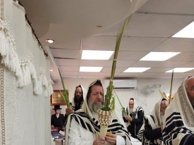 צילום: פרטי