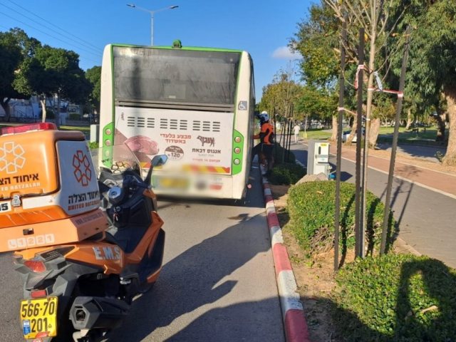 דוברות: איחוד הצלה