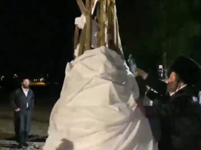 מתוך הסרטון