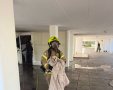 חילוץ הכלב מהזירה. כבה