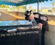 אם הבנים שמחה: זכרה של אם האדמו"רים לבית פינטו הועלה בסעודה השלישית