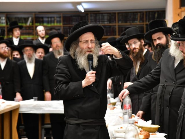 צילום: יוסי לוי