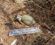 שנתיים אחרי הטבח בבארי: רימון רסס של חמאס אותר בשטח הקיבוץ