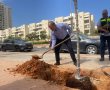 בתום שנת השמיטה: למעלה מ-2,000 עצים ינטעו עד סוף 2022