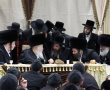 אדמו"רי העיר כובדו ב'שבע ברכות' האחרון בחצר גור