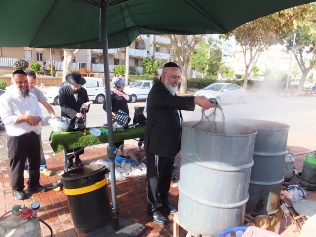 הדעלת כלים המועה"ד. א' מיכאלי