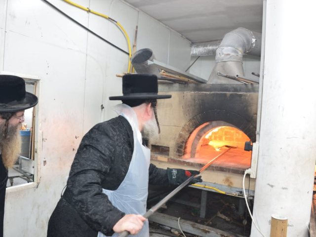 פסח בשאץ. יוסי לוי