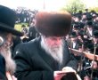 שמחה גדולה בחצר בעלזא: נכדת האדמו"ר באה בברית האירוסין