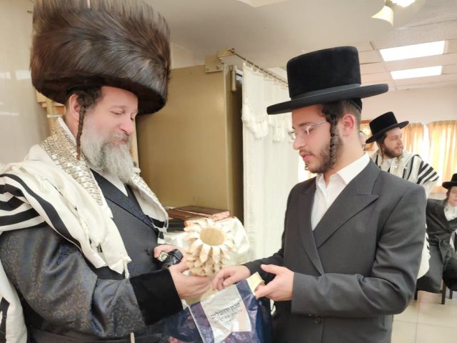 התרת נדרים שאץ. מוסדות שאץ