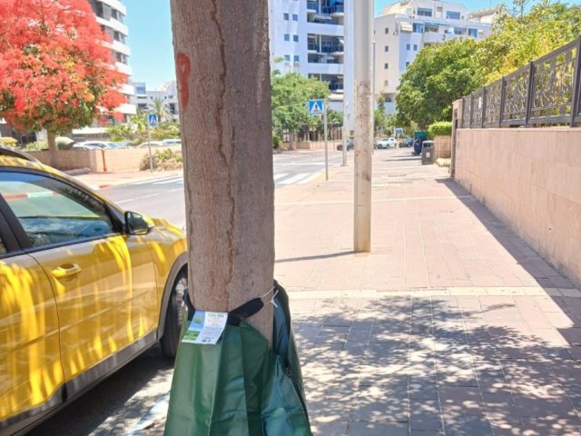 שק עטוף ביריעת ברזנט. א' מיכאלי