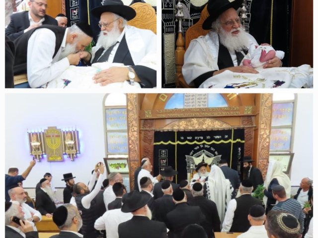 הברית בביהכ הריבז. מ. מיכאלי