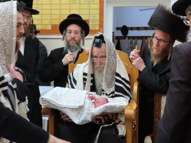 האדמור ממעליץ בברית לנינו. א מיכאלי