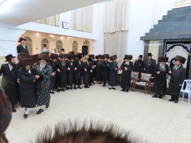 צילום: א. מיכאלי