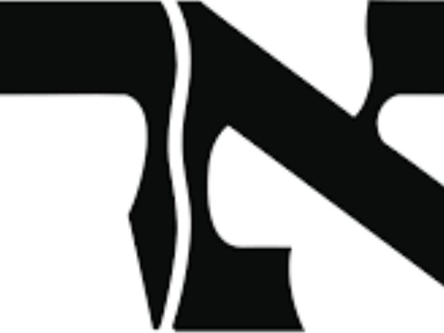 הארץ. לוגו