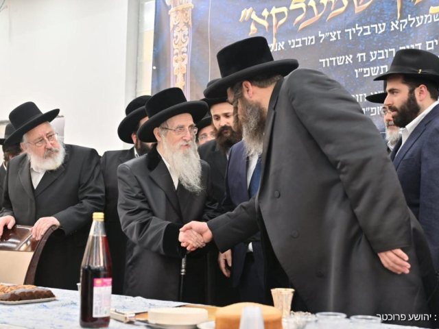 צילום: יהושע פרוכטר