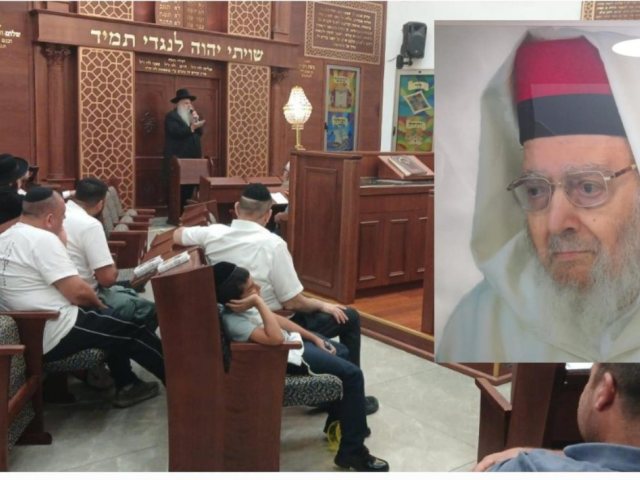 צילום: א. מיכאלי