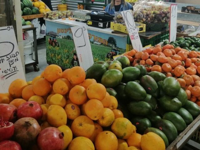 צילום: היחידה לשכונות וותיקות והון חברתי בעיריית אשדוד