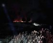 שיחק באש: ילד הצית את השריפה שאתם רואים כאן בתמונה