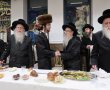 קול רינה: שמחת התנאים לנכד הרבי ממעליץ עם נכדת אב"ד מאקאווא אשדוד