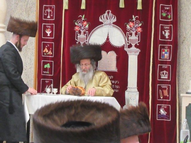 מלווה מלכה עם רבי אלימלך בידרמן. א' מיכאלי