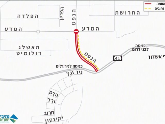 צילום: עירית אשדוד