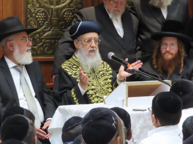 צילום: א. מיכאלי