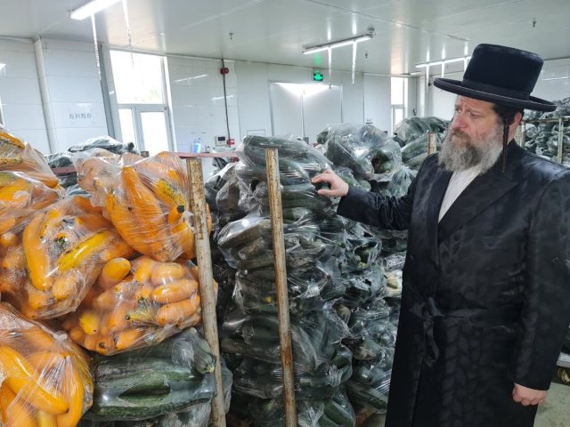 פרטי