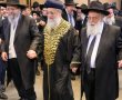 הגאון הצדיק מאשדוד חיתן נכד - והאצולה הרבנית בישראל התייצבה