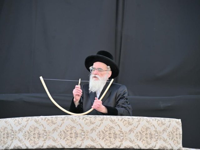 מעמד חץ וקשת בחצר ויזניץ. יהושע פרוכטר