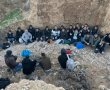 33 שוהים בלתי חוקיים נתפסו בפשיטה בנגב: "פוטנציאל לפעילות חבלנית"