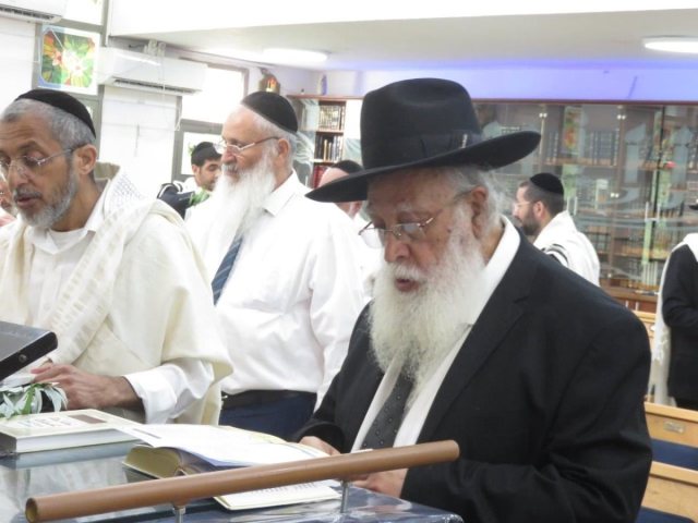 תפילת רבים. הרב מאיר כהן. א' מיכאלי