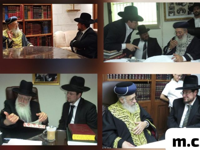 צילום: א' מיכאלי