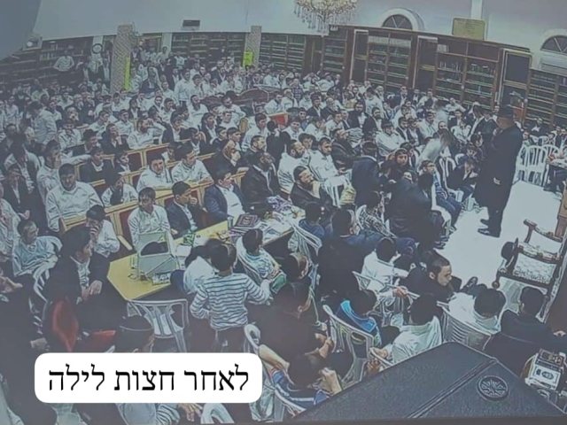 שוקדים ביום העצמאות. א מיכאלי