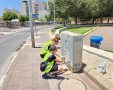 צילום: עירית אשדוד