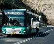 פרסום ראשון: בשבוע הבא התחבורה הציבורית בירושלים תשובש קשות | זו הסיבה