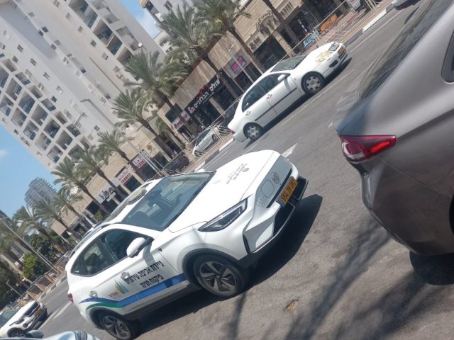 צילום: דוד פרטוש