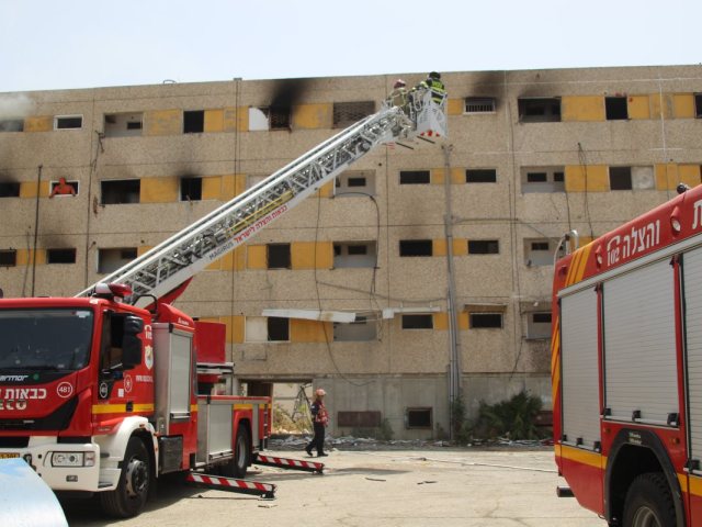 צילום: שמואל סרדינס