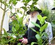 בגינת שבעת המינים: כך בירך רד"ח פינטו את ברכת האילנות