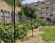 צילום: מינהלת רובע ג'