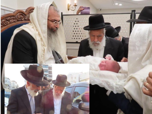צילום: א. מיכאלי