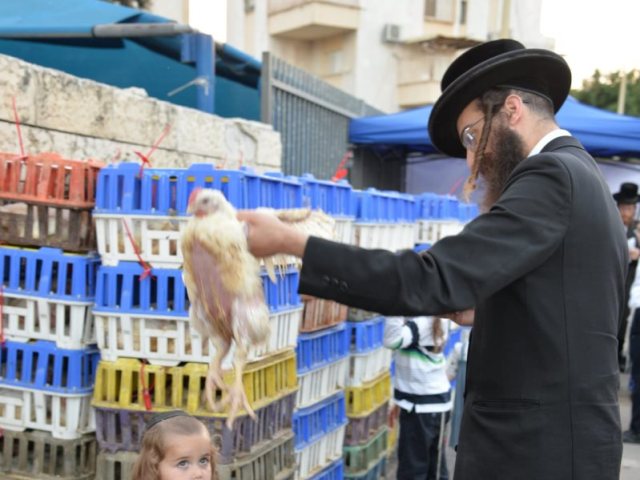 צילום: יוסי לוי