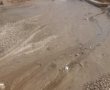 שוב זיהום בחוף בת ים: פעילים חברתיים תיעדו זרימת שפכים לחוף ירושלים
