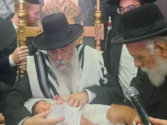 צילום: א. מיכאלי