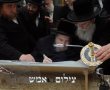 באסרו חג: הכנסת ספר תורה לבית המדרש 'בית אביגדור' בעלזא ברובע ו'