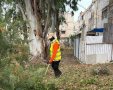 הניקיון בגינות. לירון מולדובן
