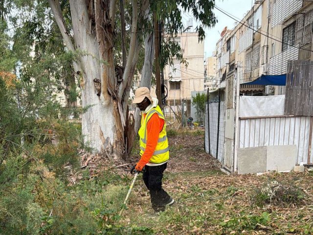 הניקיון בגינות. לירון מולדובן