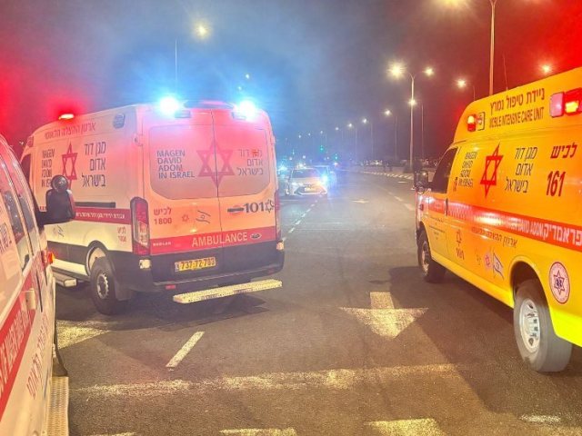 צילום: דוברות מד"א