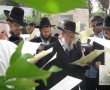 "ליהנות בהם בני אדם": היום האחרון ל'ברכת האילנות'