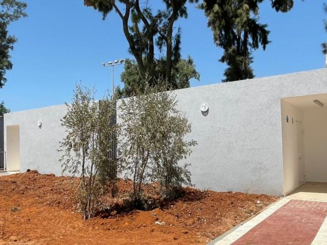צילום: שמואל דוד