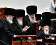 לצד האדמו"ר מגור ב'הקפות': בנו מאשדוד